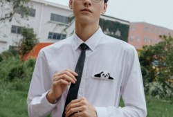 龚俊张先生最新爆料图片,揭秘娱乐圈幕后真相！”